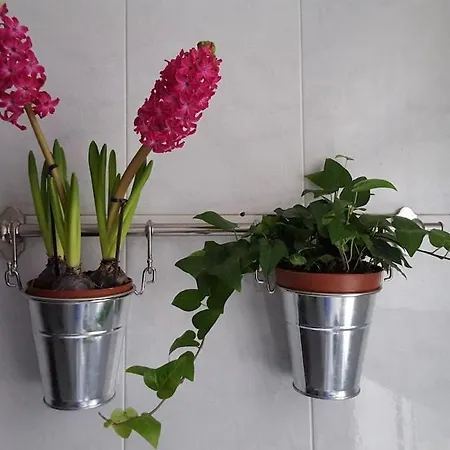 Flat With Encanto In Coruna Apartman *